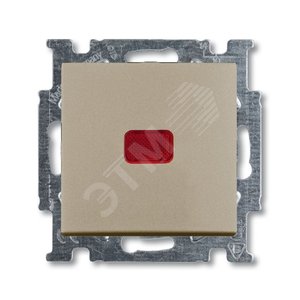 Мех-м 1-кл., 1-пол. перекл., с кл., с подсв., с неон. ламп., серия Basic 55, цв. шампань 2