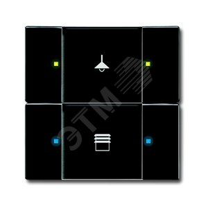 6126/02-81-500 Сенсор 2/4-кл. многофункциональный, антарцит | 6116-0-0206  | 2CKA006116A0206 | ABB 2