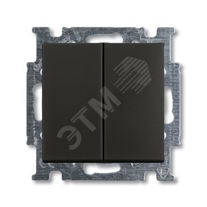 Мех-м 2-кл., 1-пол. выкл. с кл., серия Basic 55, цв. ch?teau-black 2