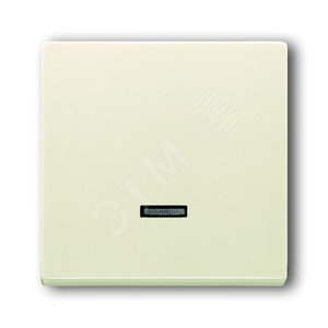 ABB Basic 55 Сл. кость Клав. для светорег. 6550 U-10x, 6560 U-101, 6593 U, реле 6401 U-10x, 6402 U, Basic 55 | 6599-0-2996  | 2CKA006599A2996 | ABB - фото 2