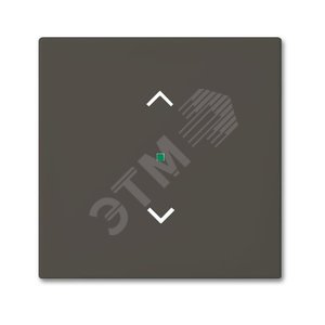 SRB-1-95 Клавиша одинарная free@home, жалюзи, Basic 55, цвет chateau-black | 6220-0-0688 | 2CKA006220A0688 | ABB - ABB