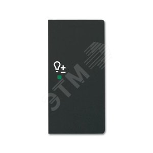 Клавиша двойная правая free@home, светорегулятор, future, цвет чёрный бархат|6220-0-0628| ABB