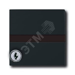 Плата промежуточная с крышкой для центр. плат , с индивидуальным зам., IP44, серия Allwetter 44, цвет антрацит | 1710-0-1985 | 2CKA001710A1985 | ABB 2