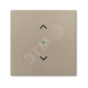SRB-1-93 Клавиша одинарная free@home, жалюзи, Basic 55, цвет шампань | 6220-0-0654 | 2CKA006220A0654 | ABB