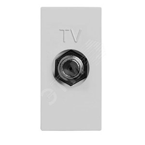 Zenit Розетка TV одиноч., серебр. - фото 2
