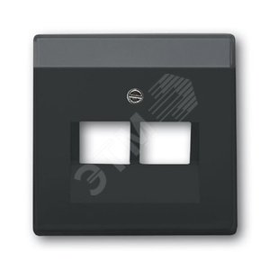 Плата центральная (накладка) для 2-постовой телекоммуникационной розетки, серия solo/future, цвет антрацит | 1710-0-3615  | 2CKA001710A3615 | ABB 2