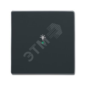 SRL-1-81 Клавиша одинарная free@home, освещение, future, антрацит | 6220-0-0140 | 2CKA006220A0140 | ABB - фото 2