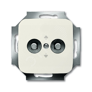 Розетка двойная для выравнивания потенциалов, серия Busch-Duro 2000 SI, цвет слоновая кость | 2495-0-0026 | 2CKA002495A0026 | ABB 2