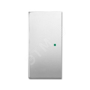 Клавиша двойная free@home, future, цвет сталь | 6220-0-0538 | 2CKA006220A0538 | ABB