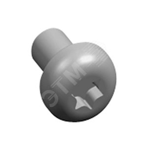 Винт М6х10 (Torx 30) (упак 20 шт) | RZ12P20 | ABB 2