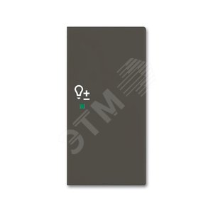 SRD-2-R-95 Клавиша двойная правая free@home, светорегулятор, Basic 55, цвет chateau-black | 6220-0-0696 | 2CKA006220A0696 | ABB - ABB