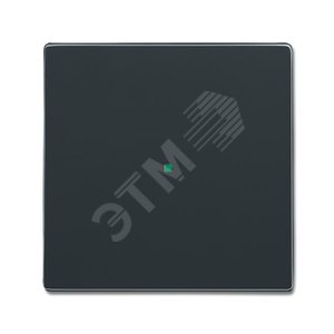 SR-1-81 Клавиша одинарная free@home, future, антрацит | 6220-0-0137 | 2CKA006220A0137 | ABB