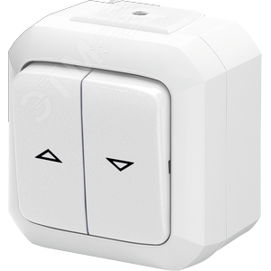 Выключатель жалюзи двухклавишный ABB Variant+ IP54 без фиксации клавиш белый (3558N-C88510 B) - ABB