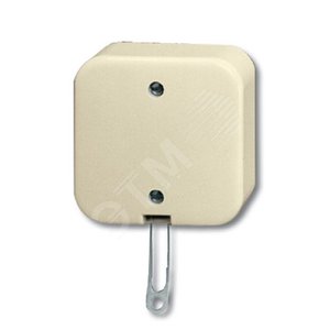 Переключатель со шнурком для открытого монтажа, серия Busch-Duro 2000 AP, цвет слоновая кость | 1343-0-0136  | 2CKA001343A0136 | ABB 2