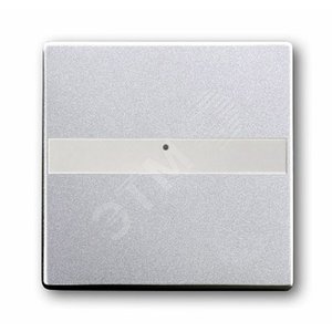 Клав. с полем для надписи, со световодом, для выкл./перекл./кнопок, серия solo/future, цвет серебр.-алюм. | 1731-0-1948  | 2CKA001731A1948 | ABB 2