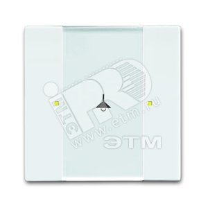 6125/02-84-500 Сенсор 1/2-кл. многофункциональный, альпийский белый | 6115-0-0219  | 2CKA006115A0219 | ABB