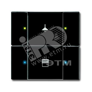 6126/02-81-500 Сенсор 2/4-кл. многофункциональный, антарцит | 6116-0-0206  | 2CKA006116A0206 | ABB