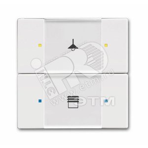 6126/02-84-500 Сенсор 2/4-кл. многофункциональный, альпийский белый | 6116-0-0209  | 2CKA006116A0209 | ABB