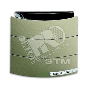 6320/10-260-500 Сенсор 1/2-кл. с ИК-приемником, triton, паладий | 6320-0-0010  | 2CKA006320A0010 | ABB