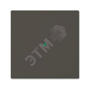 SR-1-95 Клавиша одинарная free@home, Basic 55, цвет chateau-black | 6220-0-0686  | 2CKA006220A0686 | ABB - ABB