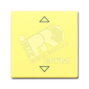 SOLO/FUTURE Клавиша для выключателя Буш-Жалюзиконтроль 6411U-101/6411U/S-101/6418/реле 6402U сахара/желтый - ABB