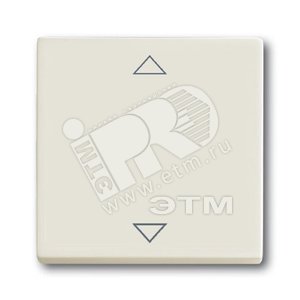 SOLO/FUTURE Клавиша для механизма электронного выключателя Busch-Jalousiecontrol 6411U-101/6411U/S-101/6418U/реле 6402U chalet-white (6430-0-0396) - ABB