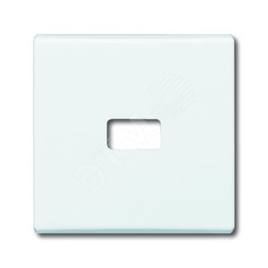Клавиша для мех. 1-кл. выкл./перекл./кнопки, с окном д.линзы/символа,IP44,серия Allwetter 44,цвет альп. белый | 1731-0-1998  | 2CKA001731A1998 | ABB 2