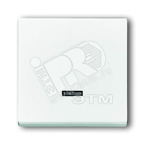 ABB Basic 55 Альп. белый Клавиша для светорег 6550 U-10x, 6560 U-101, 6593 U, реле 6401 U-10x, 6402 U | 6599-0-2997  | 2CKA006599A2997 | ABB - ABB