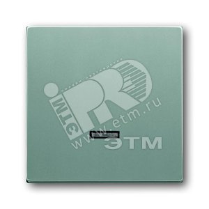 Клав. для светорег. 6550 U-10x, 6560 U-101, 6593 U, реле 6401 U-10x,6402 U, серия solo/future, цвет серебр.-алюм. | 6599-0-2887  | 2CKA006599A2887 | A