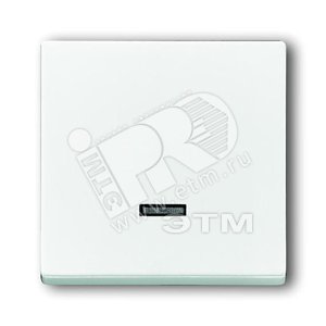 Клавиша для светорегулятора 6550 U-10x, 6560 U-101, 6593 U, реле 6401 U-10x, 6402 U, серия solo/futu - ABB
