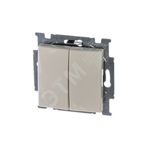 ABB Basic 55 Сл. кость Выключатель 2-х клавишный | 1012-0-2148 | 2CKA001012A2148 | ABB - фото 2