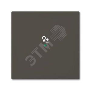 SRD-1-95 Клавиша одинарная free@home, светорегулятор, Basic 55, цвет chateau-black | 6220-0-0690  | 2CKA006220A0690 | ABB - ABB