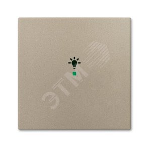 SRL-1-93 Клавиша одинарная free@home, освещение, Basic 55, цвет шампань | 6220-0-0653  | 2CKA006220A0653 | ABB - ABB