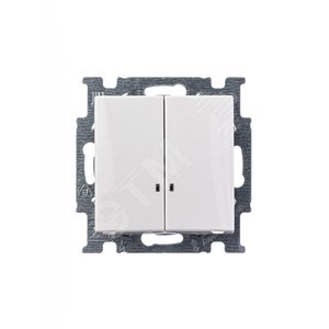 ABB Basic 55 Альп. белый Выключатель 2-клавишный с подсветкой | 1012-0-2154  | 2CKA001012A2154 | ABB - фото 3