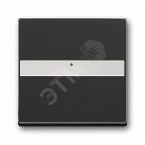 Клав. с полем для надписи, со световодом, для выкл./перекл./кнопок, серия solo/future, цвет антрацит | 1731-0-1552  | 2CKA001731A1552 | ABB 2