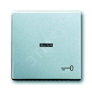 Клавиша для мех. 1-кл.выкл./перекл./кнопки, с символом "КЛЮЧ", серия solo/future, цвет серебристо-алюминиевый | 1751-0-2953  | 2CKA001751A2953 | ABB 2