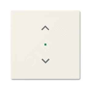 SRB-1-96 Клавиша одинарная free@home, жалюзи, Basic 55, цвет chalet-white | 6220-0-0705 | 2CKA006220A0705 | ABB