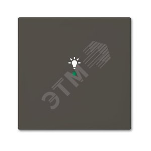 SRL-1-95 Клавиша одинарная free@home, освещение, Basic 55, цвет chateau-black | 6220-0-0687  | 2CKA006220A0687 | ABB