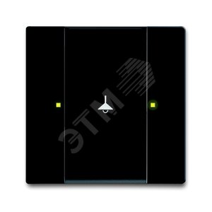 6125/02-885-500 Сенсор 1/2-кл. многофункциональный, черный бархат | 6115-0-0227  | 2CKA006115A0227 | ABB 2