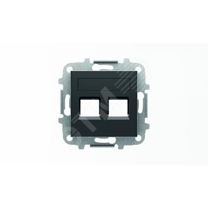 Накладка для 2-х суппортов/разъёмов типа 2017... и/или 2018..., со шторками и полем для надписи, серия SKY, цвет чёрный барх.|2CLA851820A1501| ABB 2