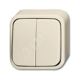 Выключатель 2-клавишный, с подсветкой, для открытого монтажа, IP44, серия Busch-Duro 2000 AP, цвет слоновая кость | 1042-0-0670  | 2CKA001042A0670 | A 2