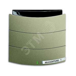 6320/10-260-500 Сенсор 1/2-кл. с ИК-приемником, triton, паладий | 6320-0-0010  | 2CKA006320A0010 | ABB 2