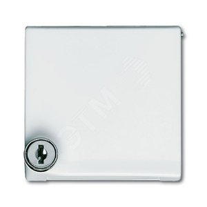 Плата промежуточная с крышкой для центр. плат , с индивидуальным зам., IP44, серия Allwette 44, цвет сл. кость | 1710-0-2298 | 2CKA001710A2298 | ABB 2