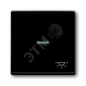 Клавиша для механизма 1-клавишного выкл./перекл./кнопки, с символом "СВЕТ", серия solo/future, цвет антрацит | 1751-0-2931  | 2CKA001751A2931 | ABB 2