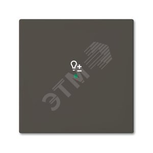SRD-1-95 Клавиша одинарная free@home, светорегулятор, Basic 55, цвет chateau-black | 6220-0-0690  | 2CKA006220A0690 | ABB - фото 2