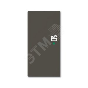 SRS-2-L-95 Клавиша двойная левая free@home, сцена, Basic 55, цвет chateau-black | 6220-0-0694 | 2CKA006220A0694 | ABB 2