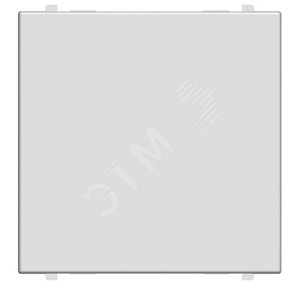 ABB Zenit Серебряный Заглушка (2 мод) | N2200 PL  | 2CLA220000N1301 | ABB - фото 2