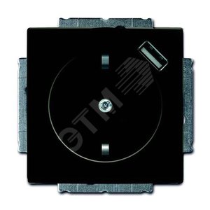 Розетка Schuko с устройством зарядным USB, 20 EUCBUSB-95-500, Basic55 chateau-чёрный, 16А, 700 мА, э - фото 2