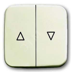 Клавиша для механизма выключателя жалюзи 2000/4 U и 2020/4 U, серия Busch-Duro 2000 SI, цвет слонова - фото 2