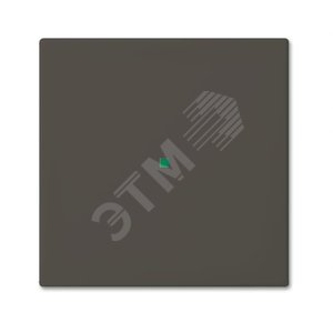 SR-1-95 Клавиша одинарная free@home, Basic 55, цвет chateau-black | 6220-0-0686  | 2CKA006220A0686 | ABB - фото 2